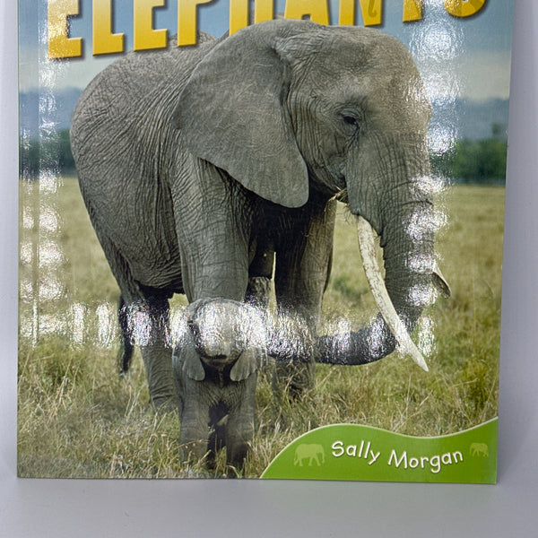 Animal Lives Bundle (7 Books)