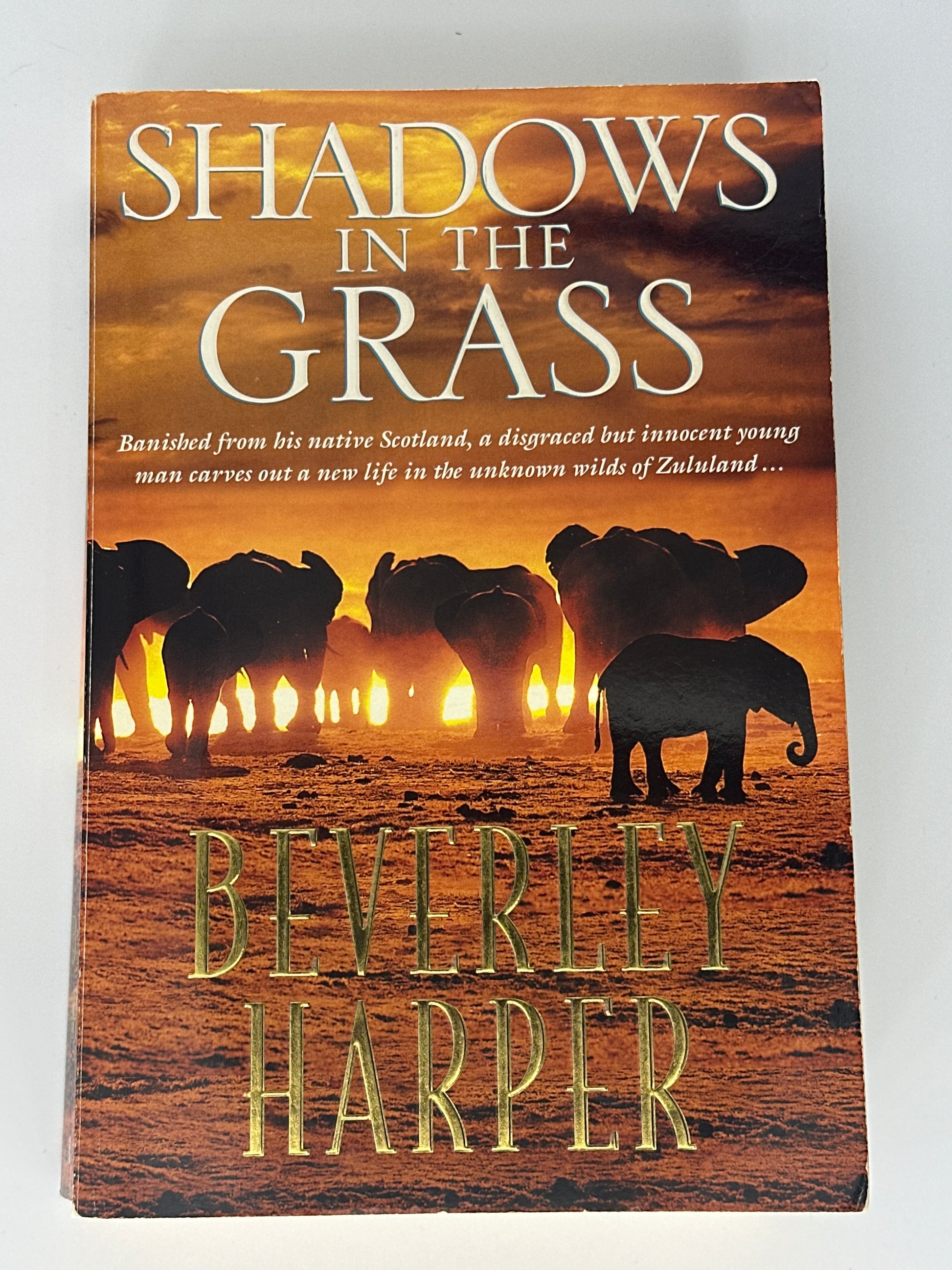 Shadows in the Grass