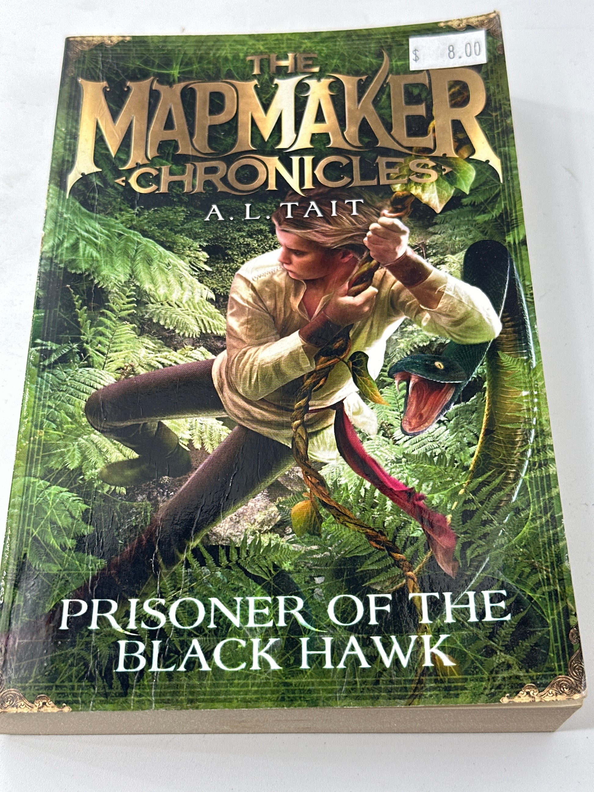 The Mapmaker Chronicles - Prisoner Of The Black Hawk