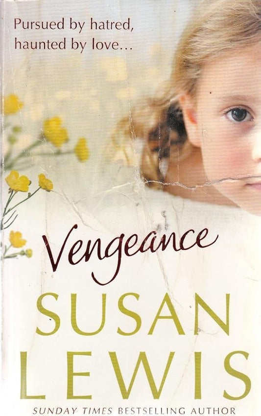 Susan Lewis Vengeance cover image