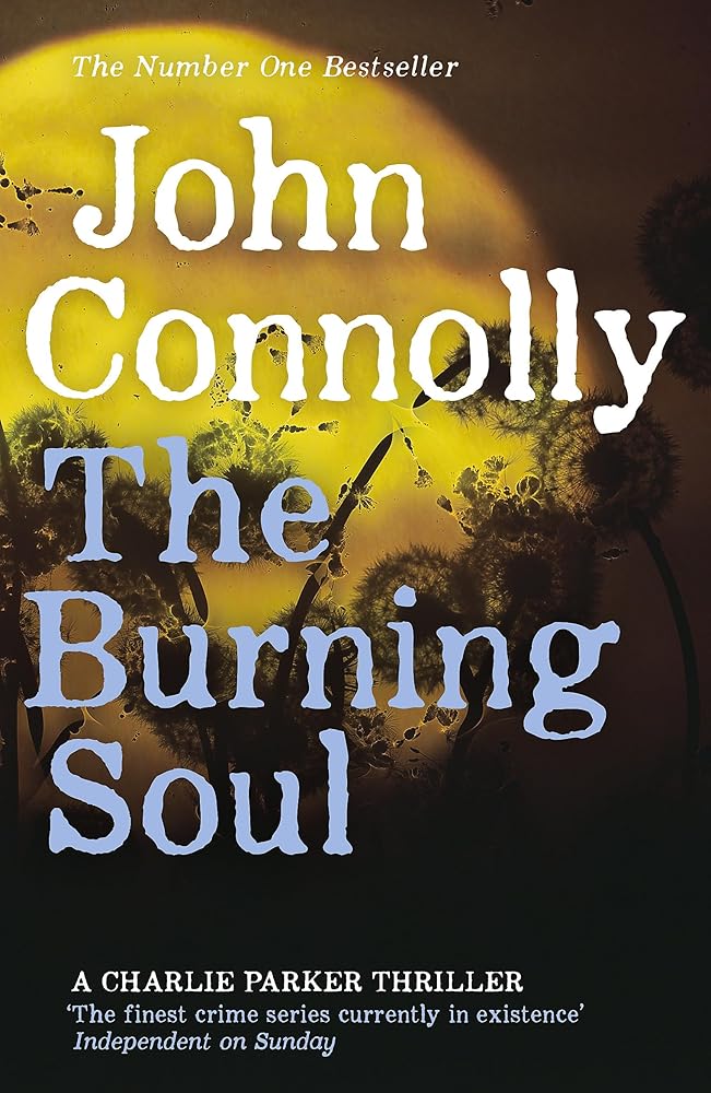 Burning Soul cover image
