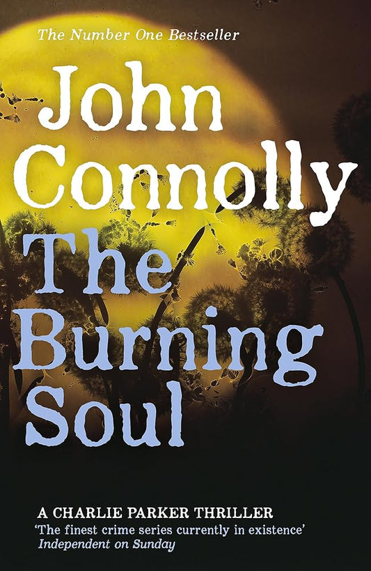 Burning Soul cover image