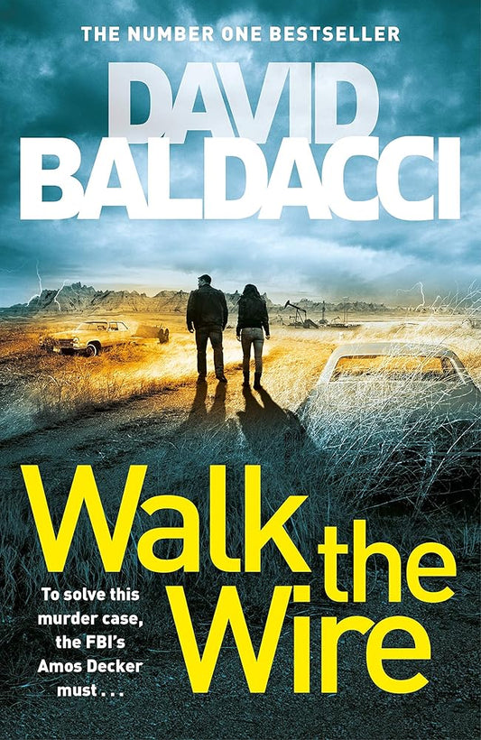 WALK THE WIRE cover image