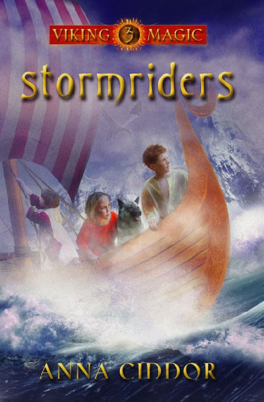 Stormriders (Viking Magic series) cover image