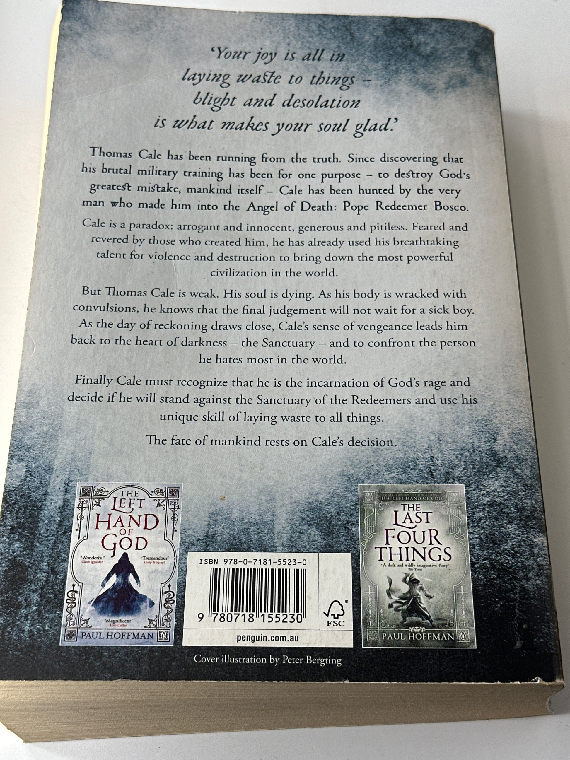 Paul Hoffman Beating of his wings back cover image