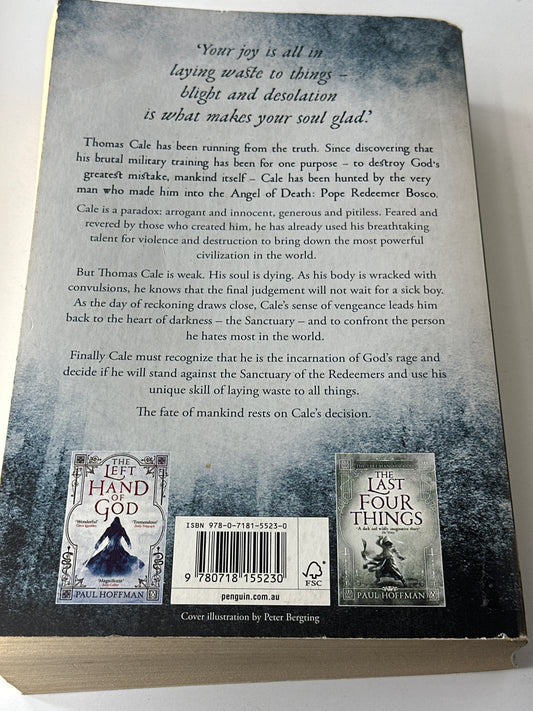 Paul Hoffman Beating of his wings back cover image
