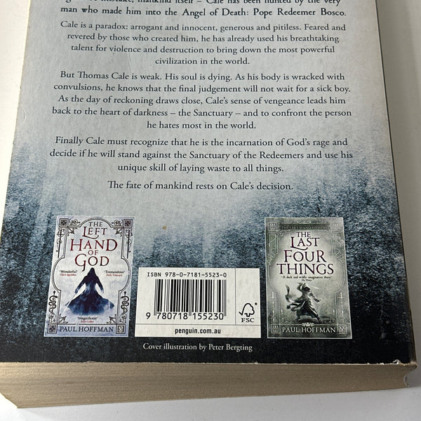 Paul Hoffman Beating of his wings back cover image
