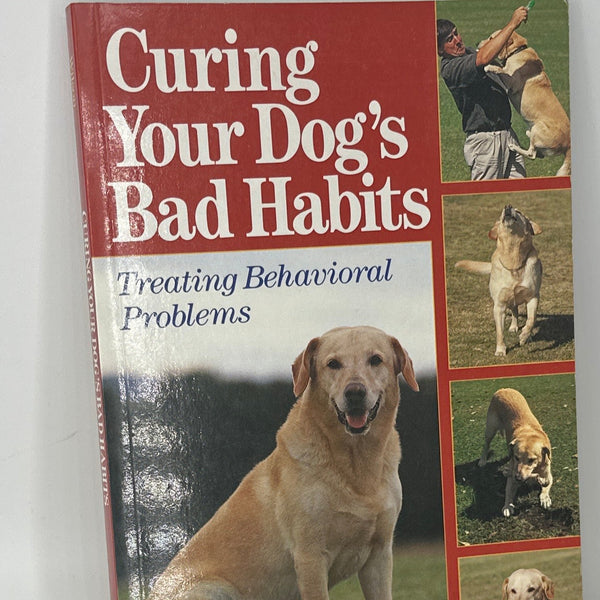Danny Wilson Curing Your Dog's Bad Habits : Treating Behavioral Problems actual front cover used books