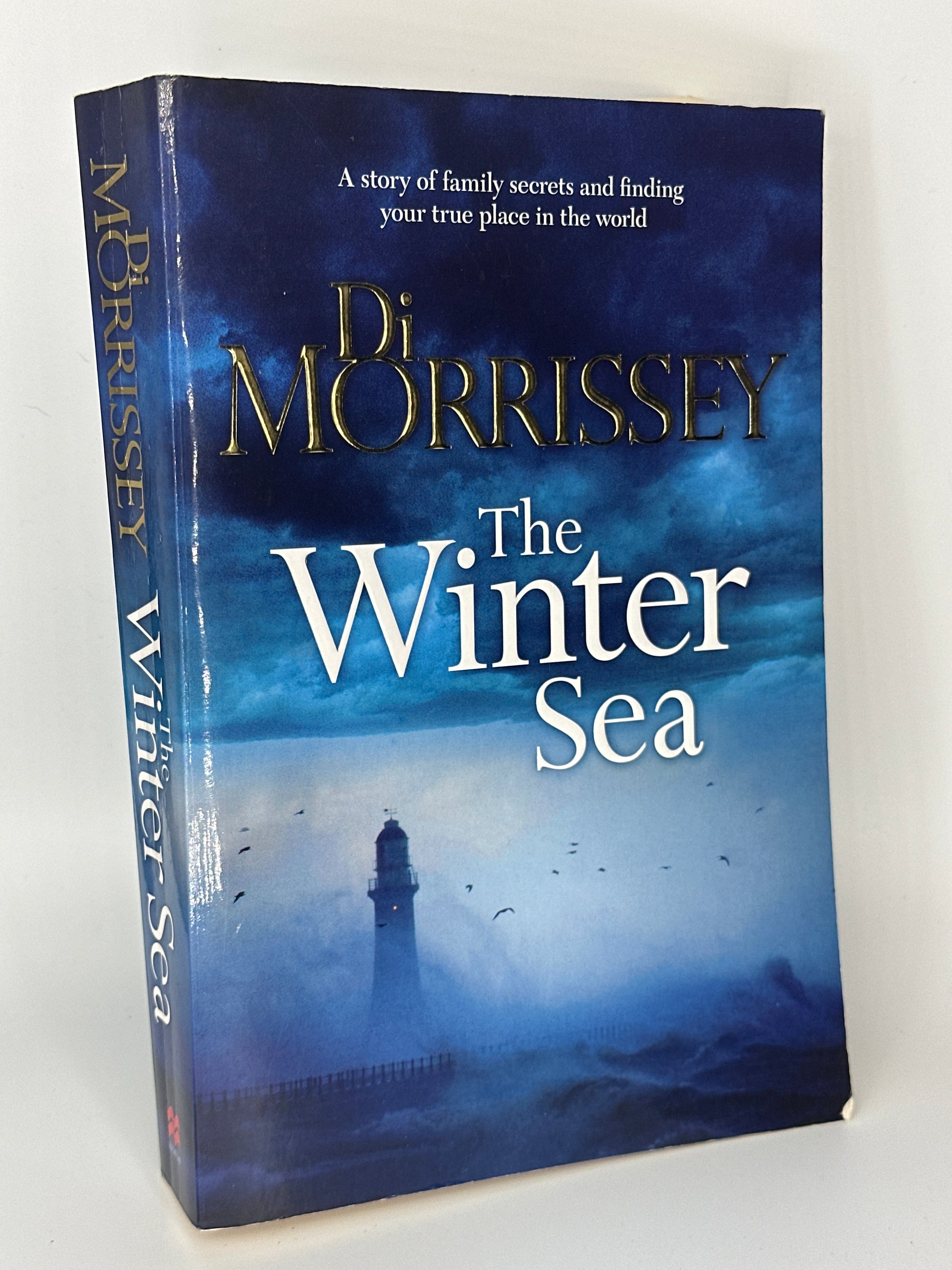 Di Morrissey The Winter Sea actual front cover used books