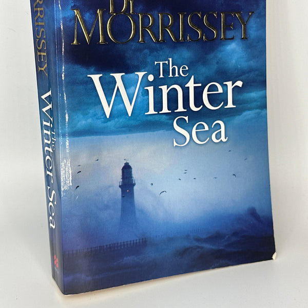 Di Morrissey The Winter Sea actual front cover used books