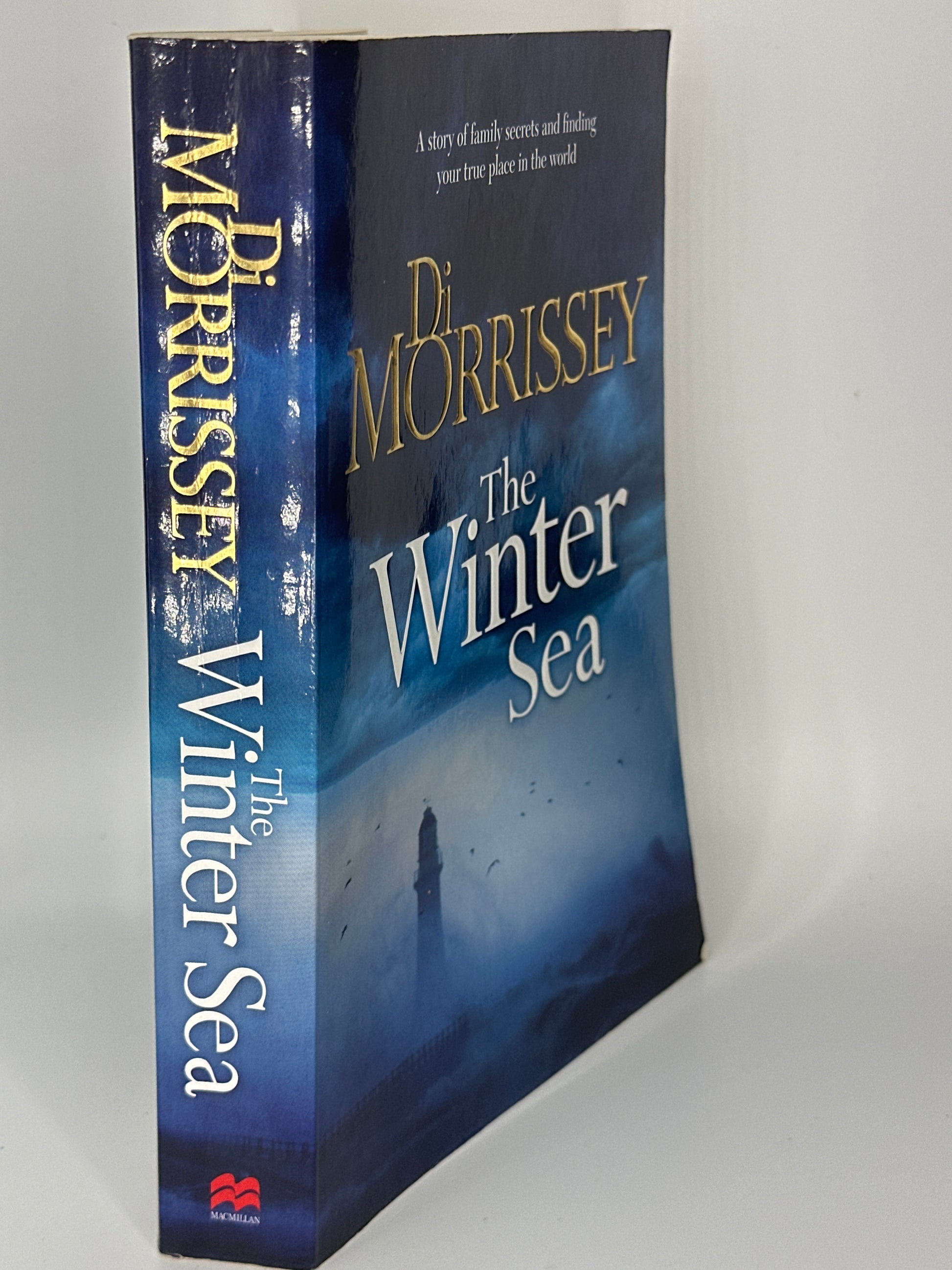 Di Morrissey The Winter Sea actual spine used books