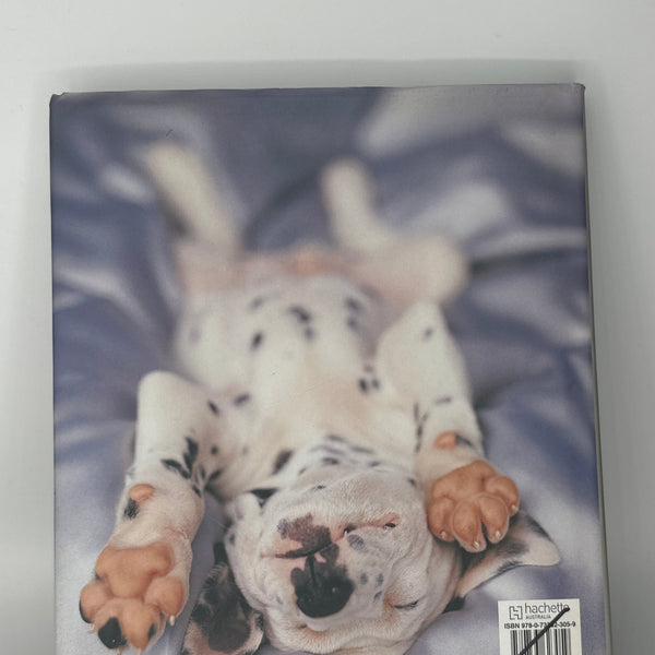 Rachael Hale A Dog's Life 101 Adorable Breeds back cover used books