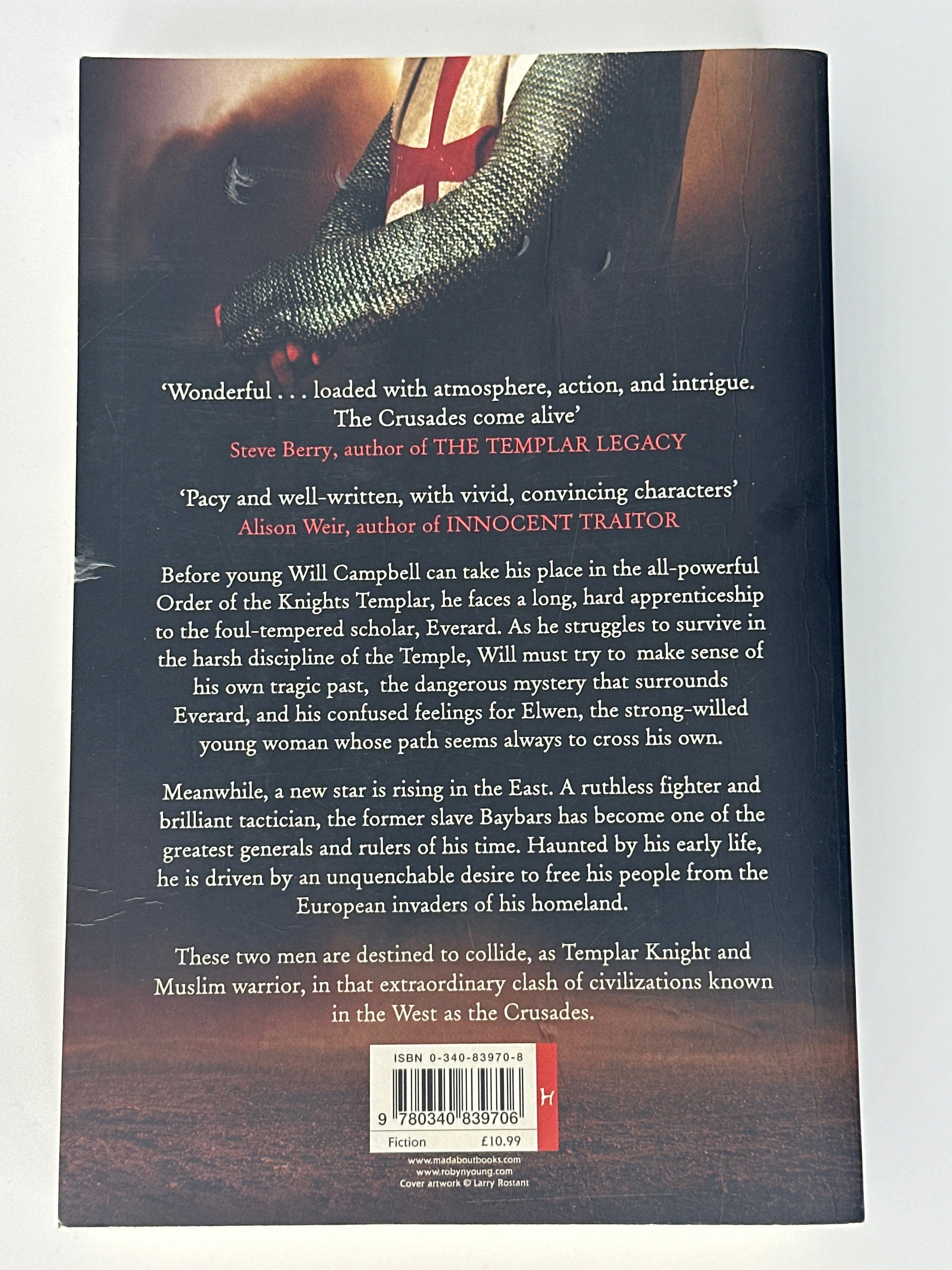 Robyn Young Brethren back cover image