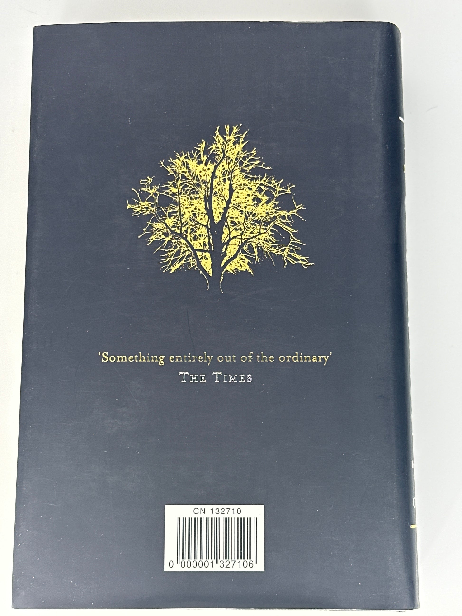 Stephen Donaldson Runes of the Earth back cover image
