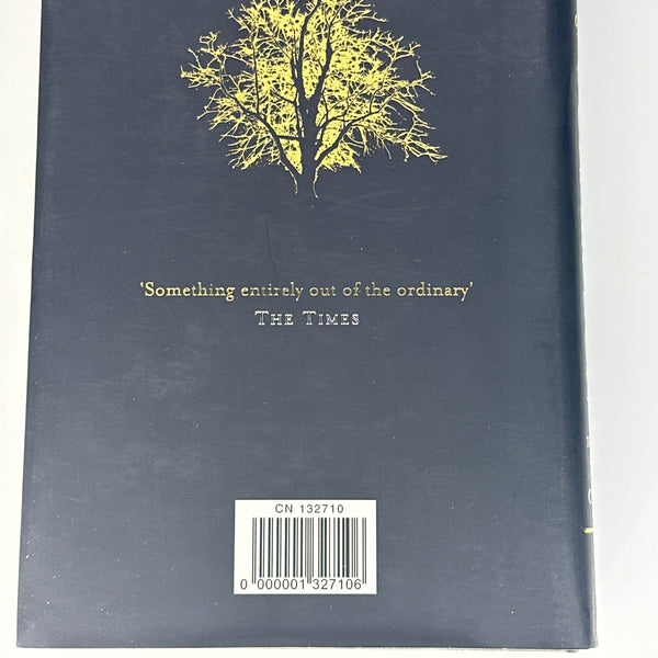 Stephen Donaldson Runes of the Earth back cover image