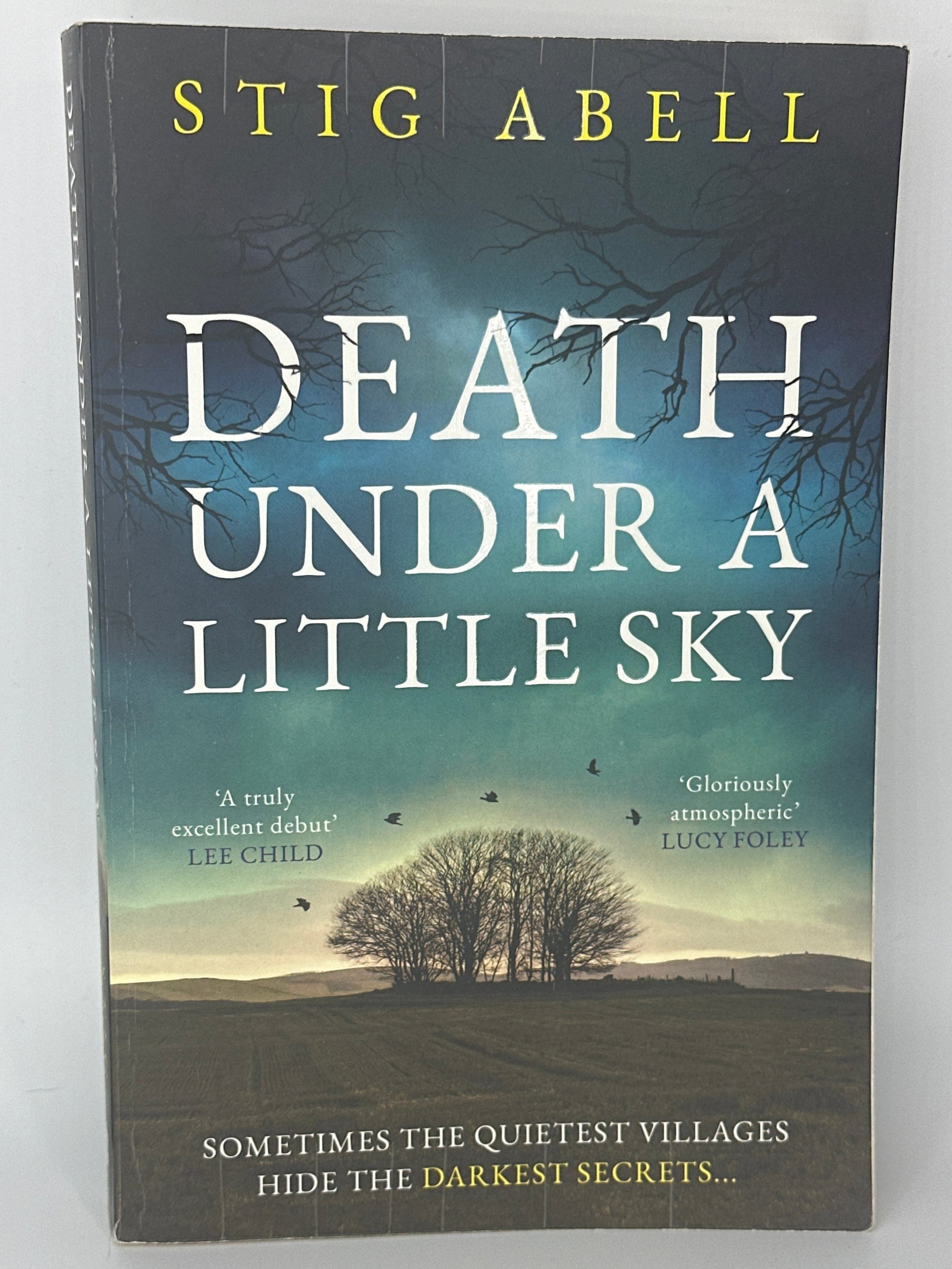 Stig Abell Death Under a Little Sky actual front cover used books