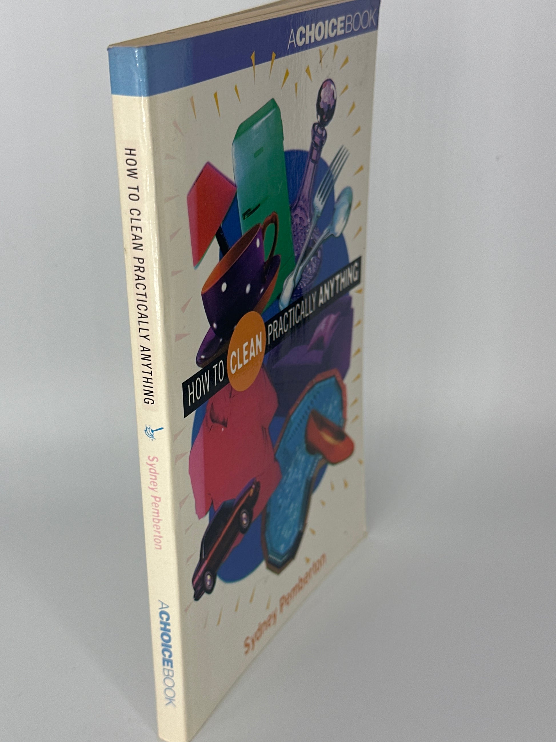 Sydney Pemberton How To Clean Practically Anything actual spine used books