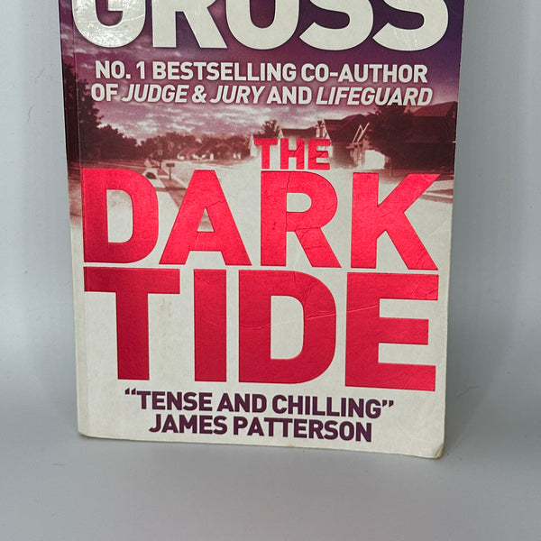The Dark Side - Andrew Gross-Front Cover - Used Books