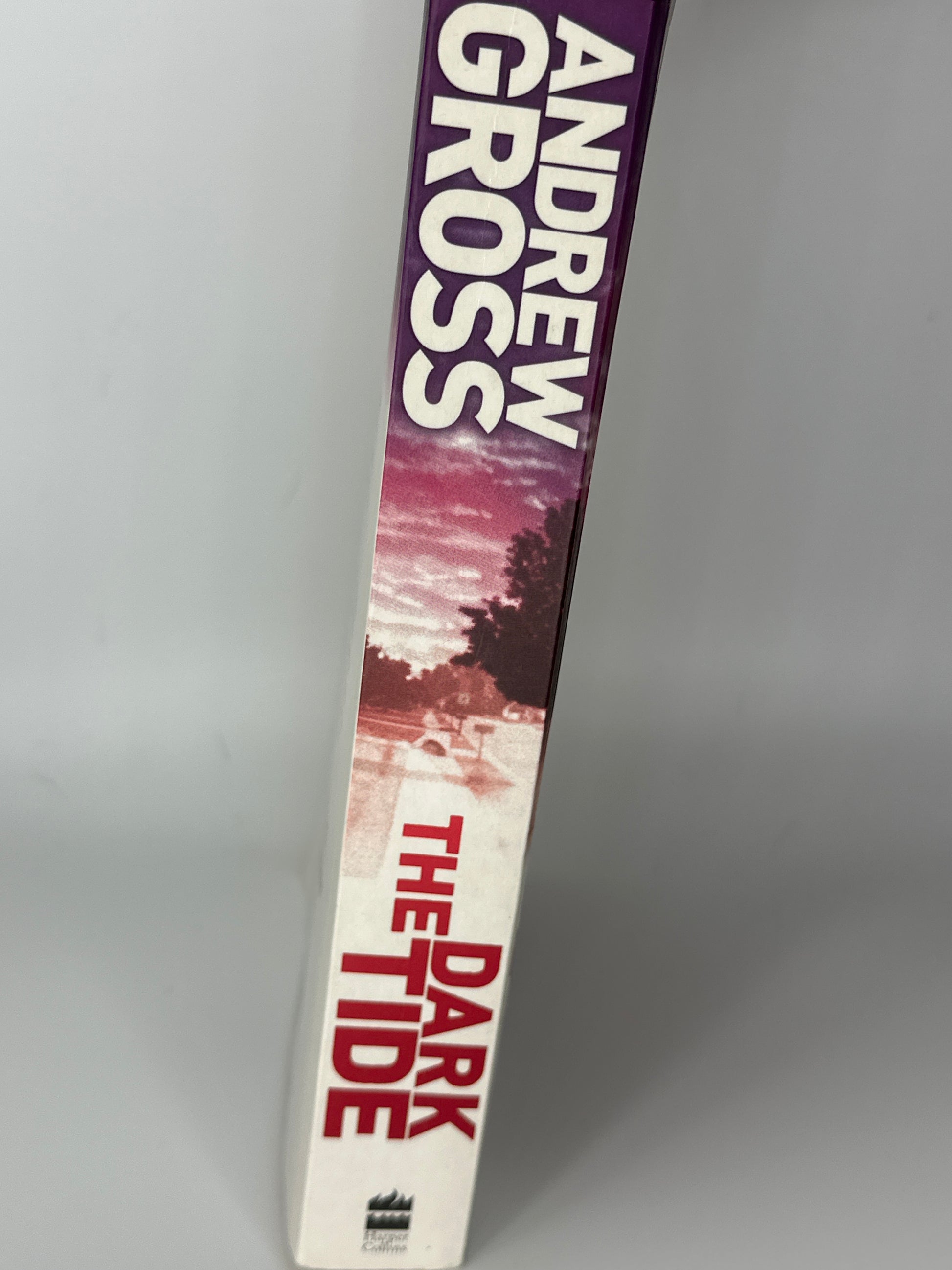 The Dark Side - Andrew Gross-side Cover - Used Books