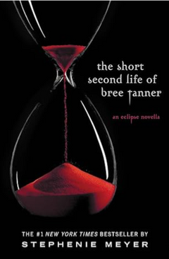 The Short Second Life Of Bree Tanner